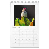Kalender voor kleine Hummingbird (Feb 2027)