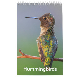 Kalender voor kleine Hummingbird