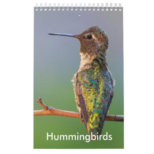 Kalender voor kleine Hummingbird (Hoes)