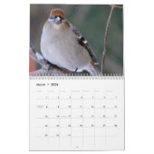 Kalender voor kleine vogels 2015 (Mar 2026)