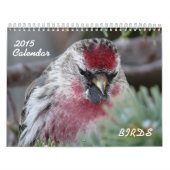 Kalender voor kleine vogels 2015 (Hoes)