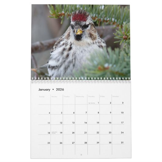 Kalender voor kleine vogels 2015 (Jan 2026)