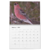 Kalender voor kleine vogels 2015 (Feb 2027)