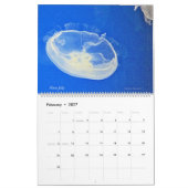 Kalender voor kwallen 2023 (Feb 2027)