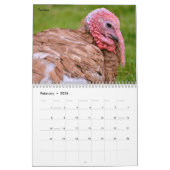Kalender voor landbouwhuisdieren (Feb 2026)
