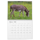 Kalender voor landbouwhuisdieren (Feb 2026)