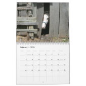 Kalender voor landelijke levenspaarden (Feb 2026)