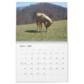 Kalender voor landelijke levenspaarden (Mar 2027)