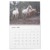 Kalender voor landelijke levenspaarden (Jan 2027)