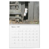 Kalender voor landelijke levenspaarden (Feb 2027)