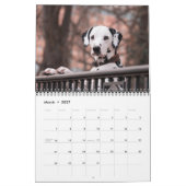 Kalender voor liefhebbers van honden van gemiddeld (Mar 2027)