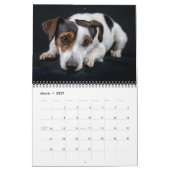Kalender voor liefhebbers van honden van gemiddeld (Mar 2027)
