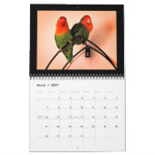Kalender voor Lovebird Adventures (Mar 2027)