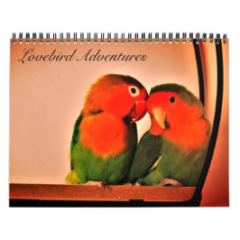 Kalender voor Lovebird Adventures