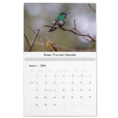 Kalender voor mensvogels van Costa Rica (Mar 2026)