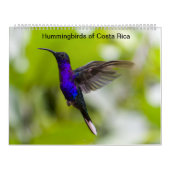 Kalender voor mensvogels van Costa Rica (Hoes)