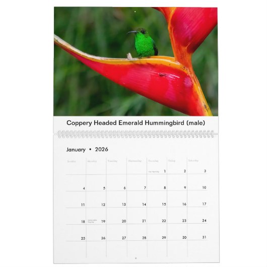 Kalender voor mensvogels van Costa Rica (Jan 2026)