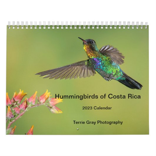 Kalender voor mensvogels van Costa Rica (Hoes)