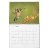 Kalender voor mensvogels van Costa Rica (Mar 2027)