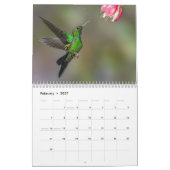 Kalender voor mensvogels van Costa Rica (Feb 2027)