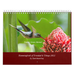 Kalender voor mensvogels van Trinidad en Tobago 20