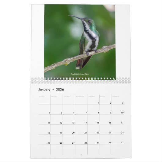 Kalender voor mensvogels van Trinidad en Tobago 20 (Jan 2026)