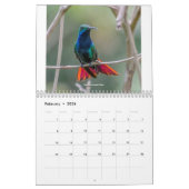 Kalender voor mensvogels van Trinidad en Tobago 20 (Feb 2026)