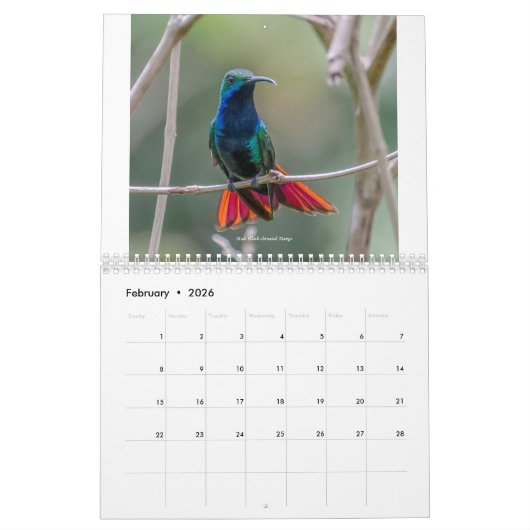 Kalender voor mensvogels van Trinidad en Tobago 20 (Feb 2026)