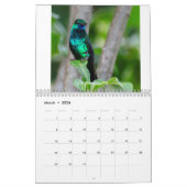 Kalender voor mensvogels van Trinidad en Tobago 20 (Mar 2026)