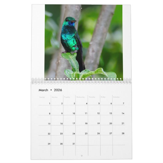 Kalender voor mensvogels van Trinidad en Tobago 20 (Mar 2026)