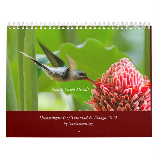 Kalender voor mensvogels van Trinidad en Tobago 20 (Hoes)