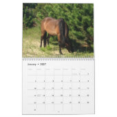 kalender voor natuurlijke omgeving (Jan 2027)