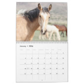 Kalender voor Onaqui Wild Horses (Jan 2026)