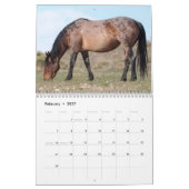 Kalender voor Onaqui Wild Horses (Feb 2027)