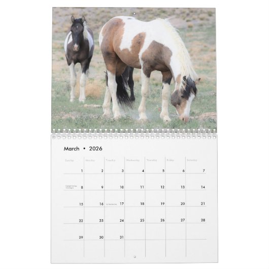 Kalender voor Onaqui Wild Horses (Mar 2026)