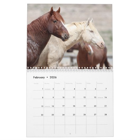 Kalender voor Onaqui Wild Horses (Feb 2026)