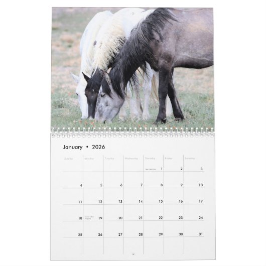 Kalender voor Onaqui Wild Horses (Jan 2026)