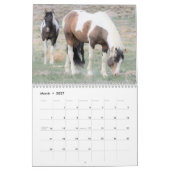 Kalender voor Onaqui Wild Horses (Mar 2027)