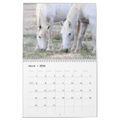 Kalender voor Onaqui Wild Horses (Mar 2026)