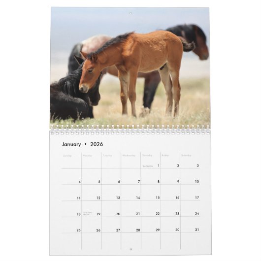 Kalender voor Onaqui Wild Horses (Jan 2026)