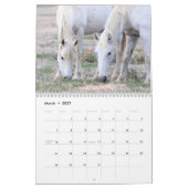 Kalender voor Onaqui Wild Horses (Mar 2027)