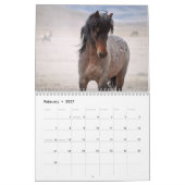 Kalender voor Onaqui Wild Horses (Feb 2027)