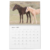 Kalender voor Onaqui Wild Horses (Mar 2027)
