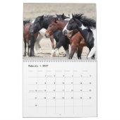 Kalender voor Onaqui Wild Horses (Feb 2027)