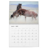 Kalender voor Onaqui Wild Horses (Mar 2027)