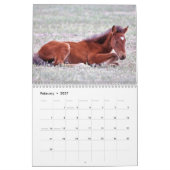 Kalender voor Onaqui Wild Horses (Feb 2027)