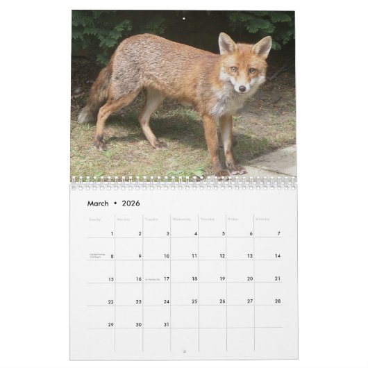 Kalender voor oxes 2016 (Mar 2026)