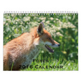 Kalender voor oxes 2016 (Hoes)