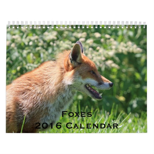 Kalender voor oxes 2016 (Hoes)