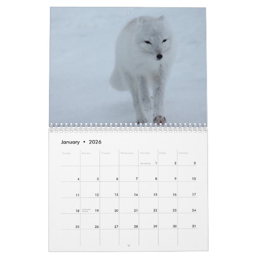 Kalender voor oxes 2016 (Jan 2026)